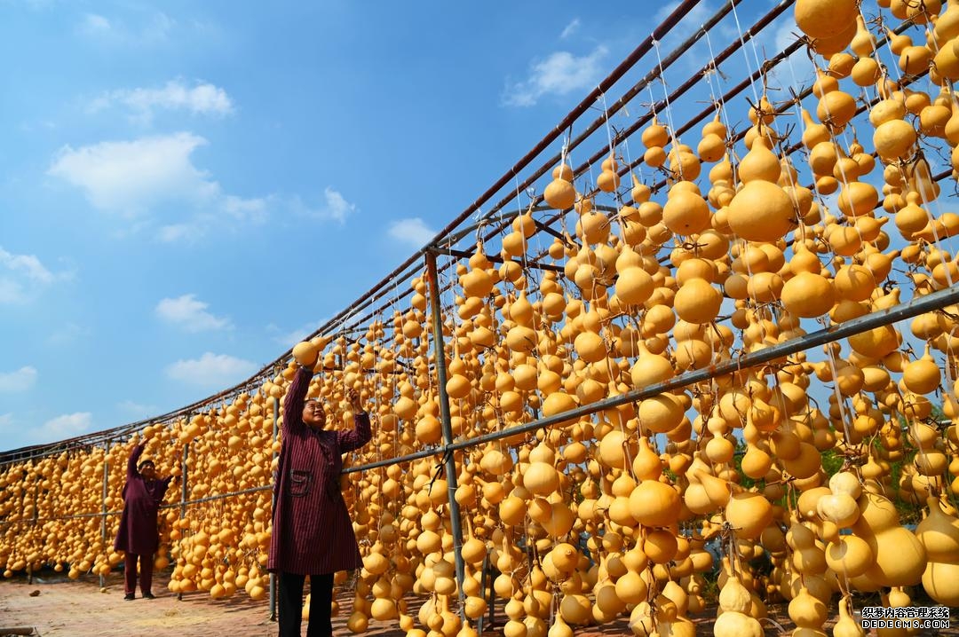 迈向农业农村现代化新征程,片区化推进乡村振兴再深化